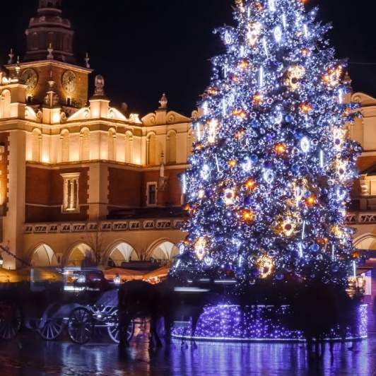 świąteczna choinka na krakowskim rynku